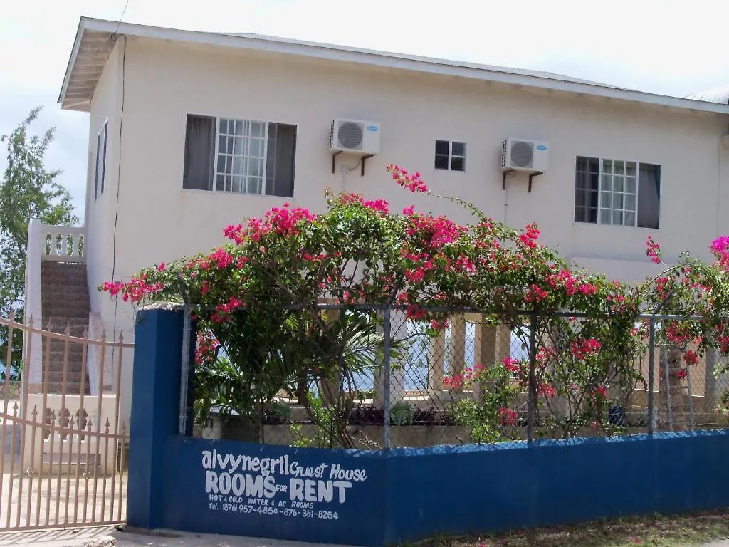 **  Alvynegril Guest House Jamaika